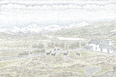 Painting 11